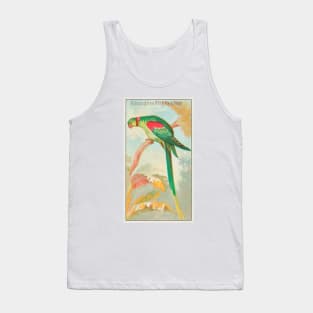 Alexandrine Ring Parakeet Tank Top